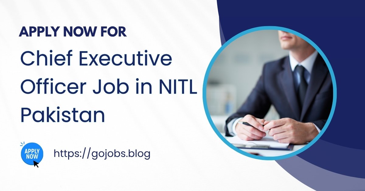 Managing Director / Chief Executive Officer Job in National Investment Trust Limited